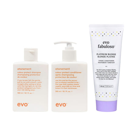 Platinum Blonde Colour Protect Essentials