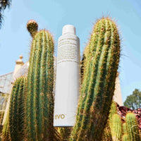 builder's paradise working spray