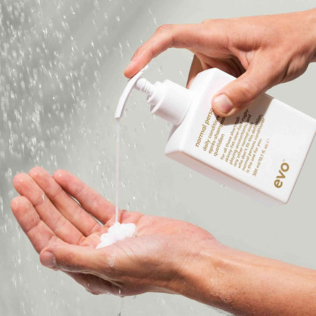 normal persons daily conditioner