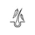 Black line drawing of a hair follicle with feathers