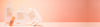 Hero banner 