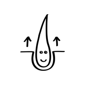 scalp_exfoliatespng