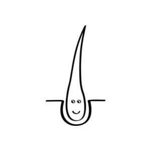 scalp_healthy_happy_hair.png